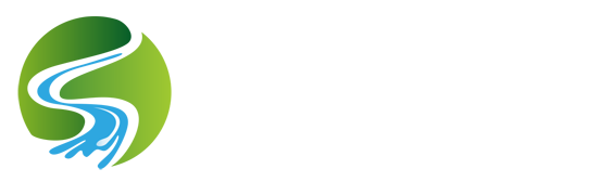 DG真人